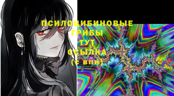 mix Инта